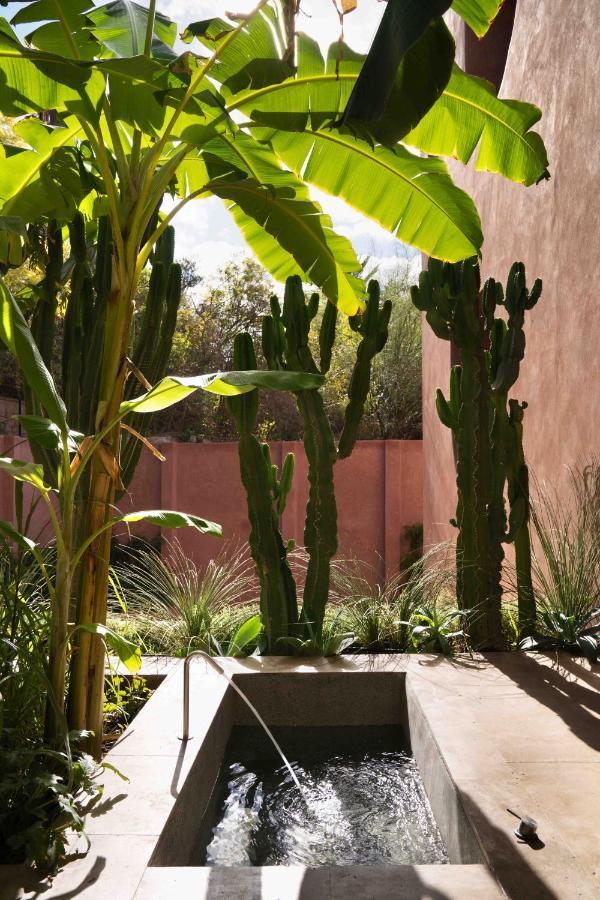 Maison Brummell Majorelle Marrakesh Exterior foto